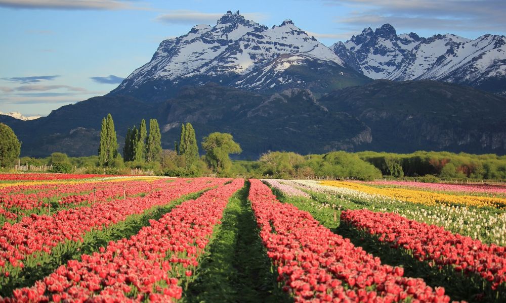Eliminar restricciones para la compra de tierras