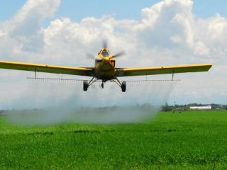 Mientras Pergamino espera sentencia, un fallo en Chaco puede cambiar el control de agroquímicos en Argentina