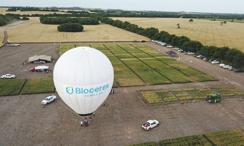 Bioceres SA entra en cesación de pagos