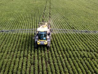 Agroqumicos y salud pblica: Dictmenes histricos reavivan la discusin en Junn y Olavarra