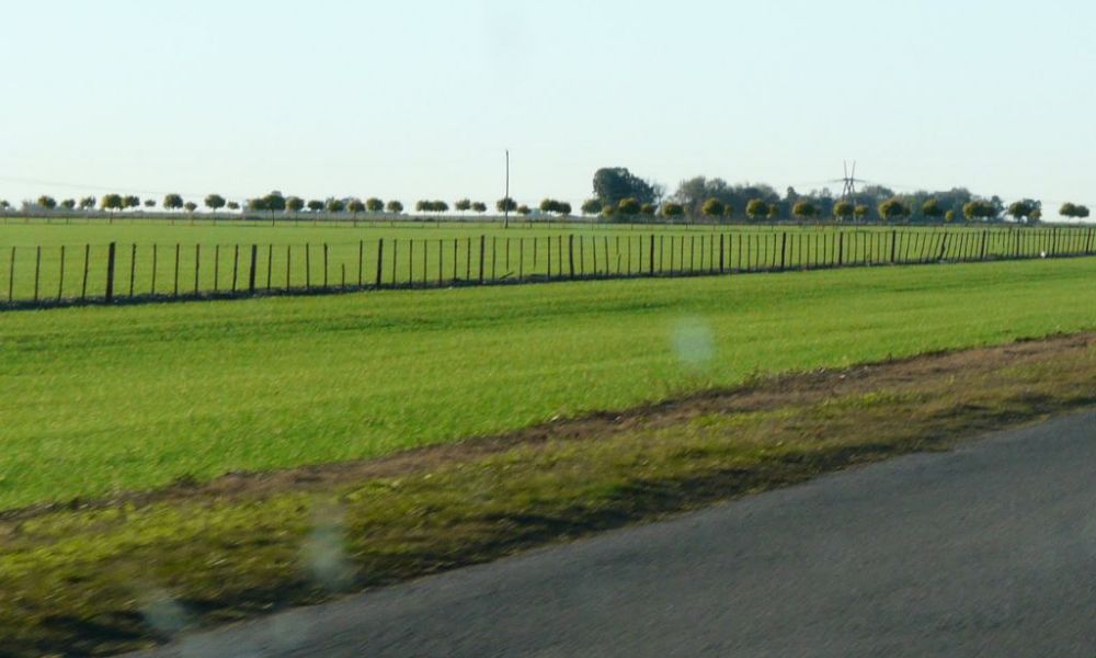 Sembrar al costado de la ruta