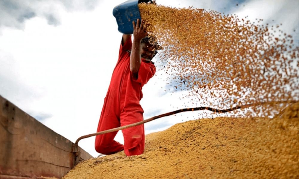 Productores vendieron toneladas de soja