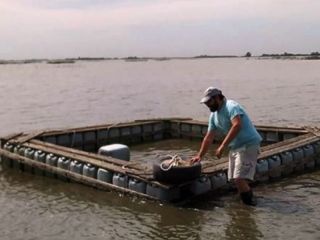 Especialistas y pescadores buscan repoblar de pejerreyes las lagunas bonaerenses