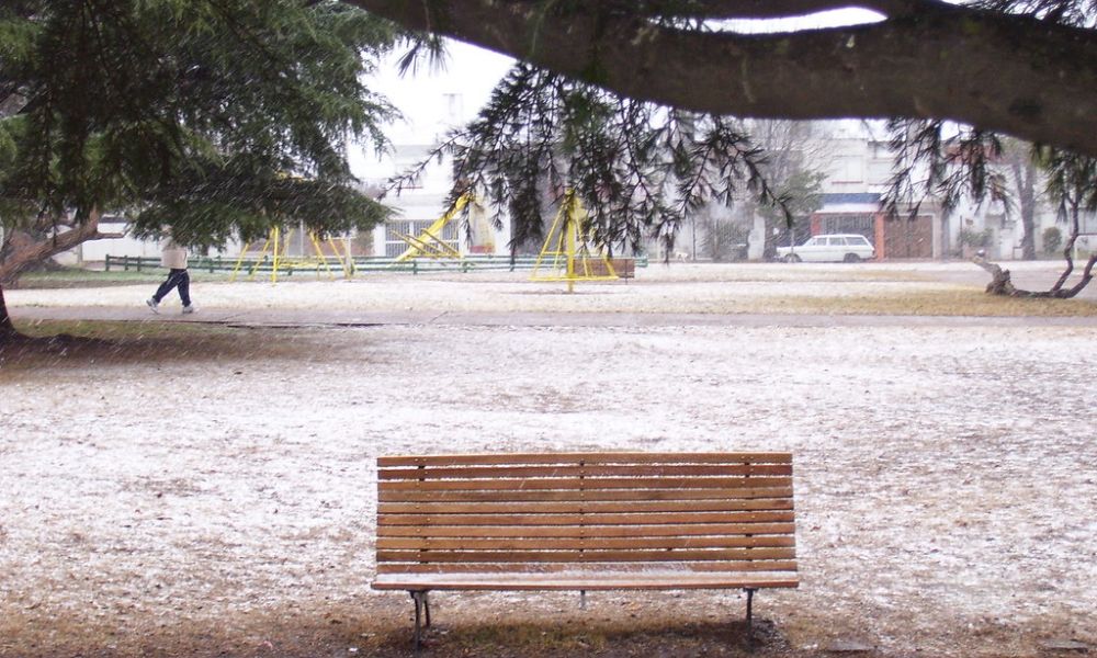 Nevada en Pergamino