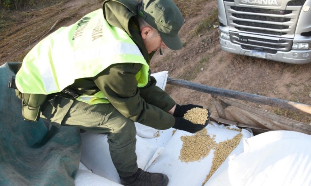 Trasladaban ilegalmente 30 toneladas de soja