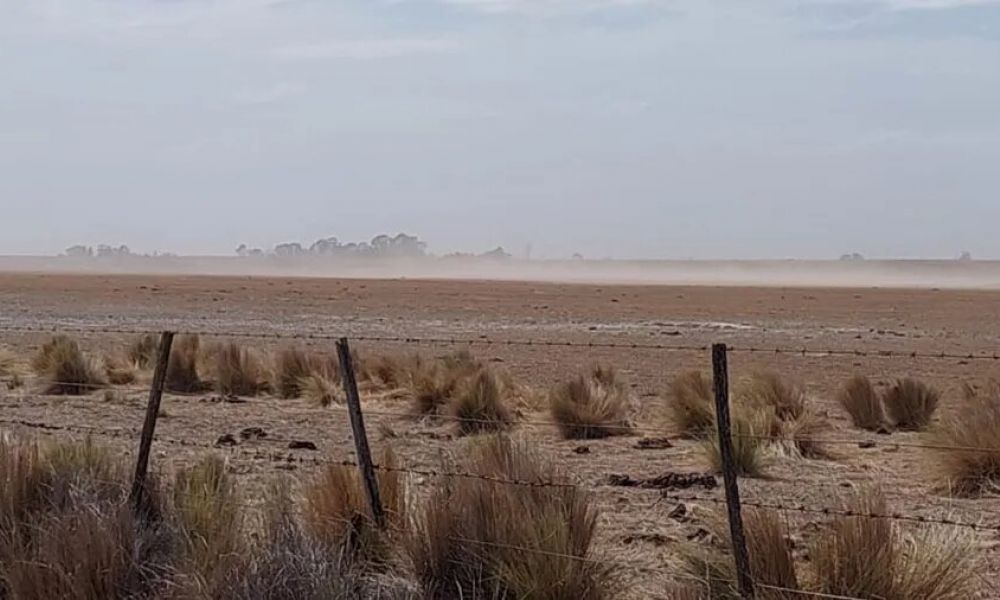 En Salto piden que se declare emergencia agropecuaria