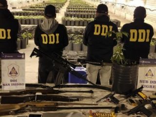 San Antonio de Areco: Secuestraron 4.000 plantas de marihuana en un galpn