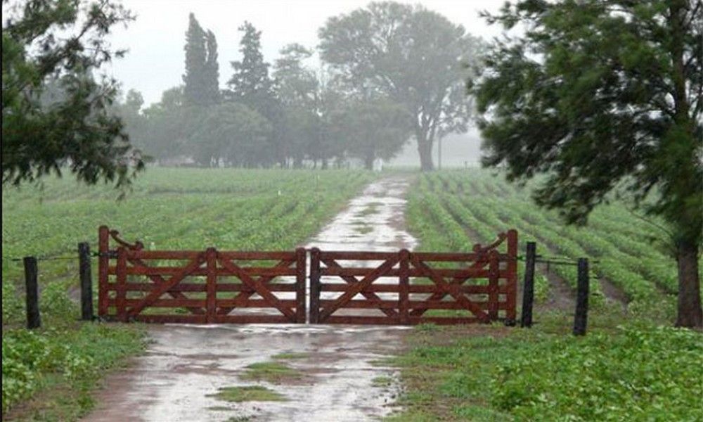 Llegaron las lluvias a la región pampeana
