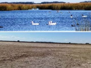 Sequ�a en el noroeste bonaerense: la mayor en los �ltimos cien a�os