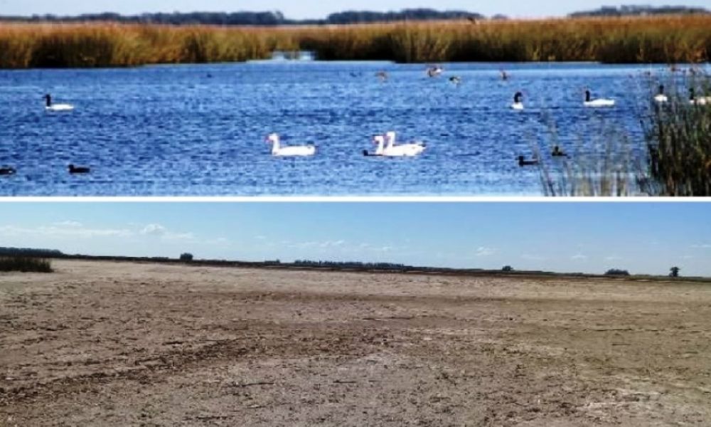 Laguna Las Toscas. Antes y después