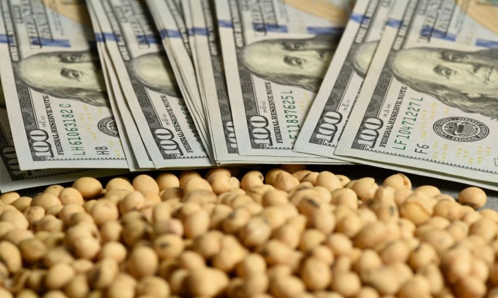 Camiones, granos y dólares