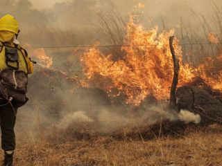 Reportan ocho focos de incendio activos en Corrientes y otros seis en Misiones