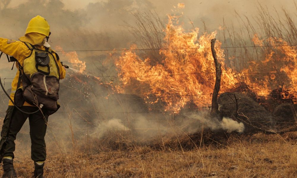 Incendios en el norte argentino