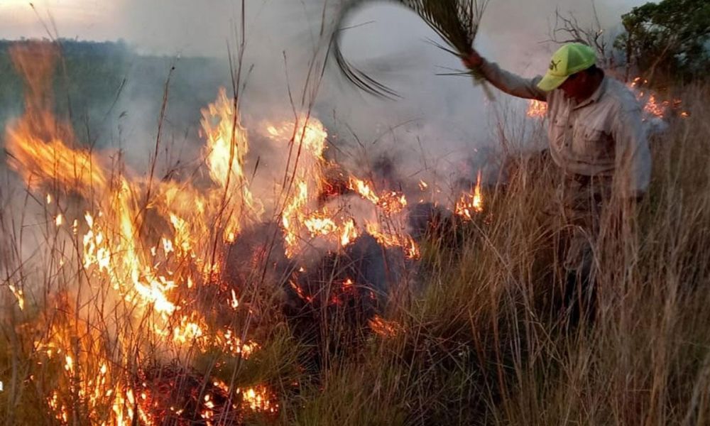 Incendios en el norte argentino