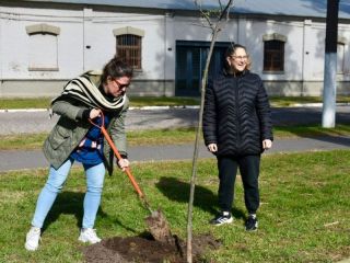 Acevedo reverdece: La comunidad une fuerzas para reforestar la plaza daada por el temporal