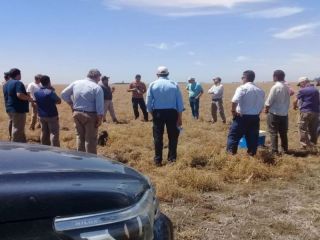 El campo en alerta por el llamativo Frente de Todos-INTA, la Junta Nacional de Granos y el comercio del campo