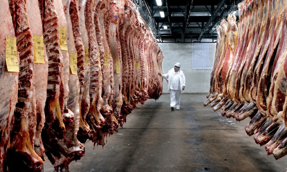 ArreBeef desafectó a más de 400 trabajadores