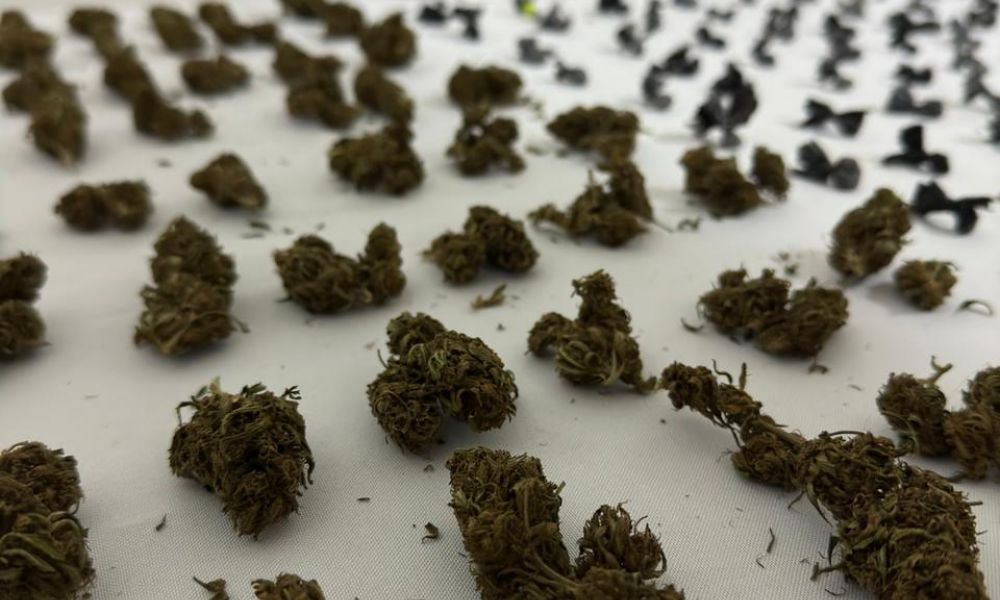 Desarticula banda de narcotráfico en Pergamino