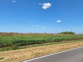 Buscan que los municipios manejen el dinero del alquiler de banquinas en rutas