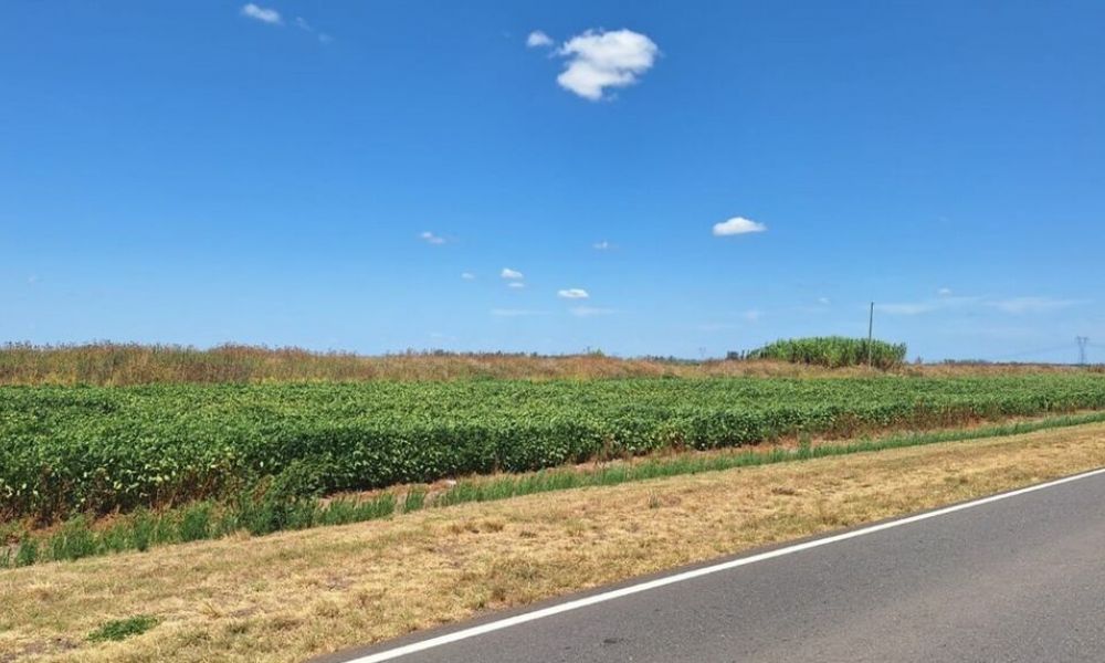 Alquiler de banquinas en rutas