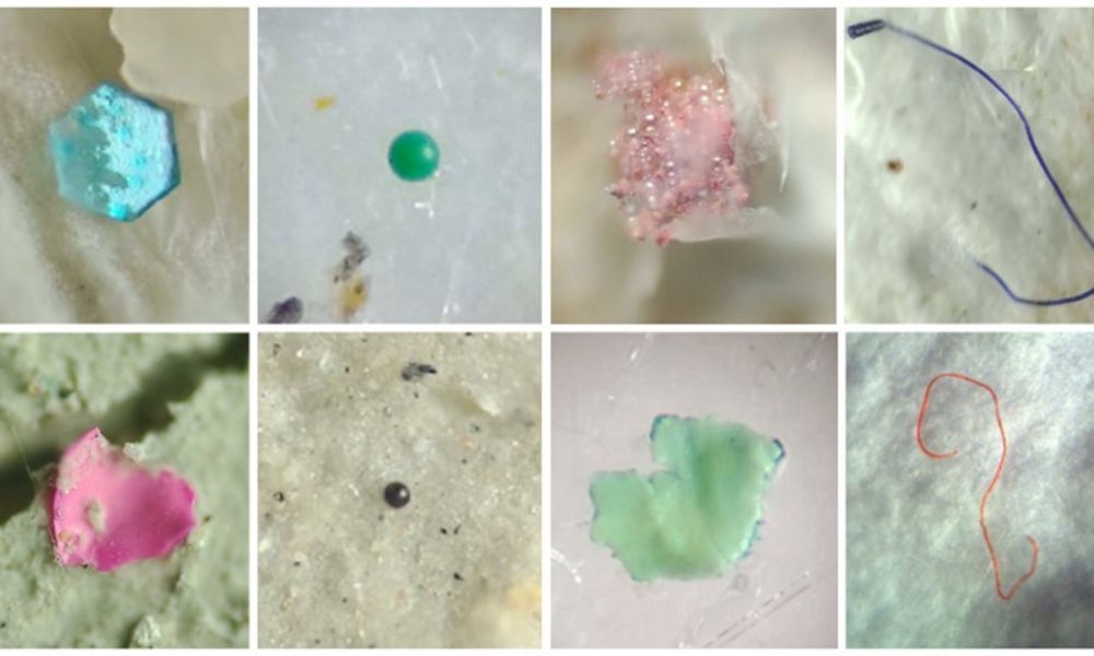 Contaminación por microplásticos en aguas bonaerenses