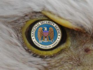 La NSA estara rastreando lo que la gente lee y escribe en Wikipedia