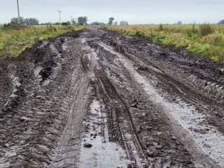 Ingenieros respaldan que productores financien obras en caminos rurales, pero exigen controles y planificación