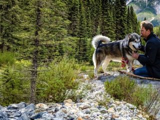 Emoción sin golpes bajos: La película familiar que conquistó Netflix