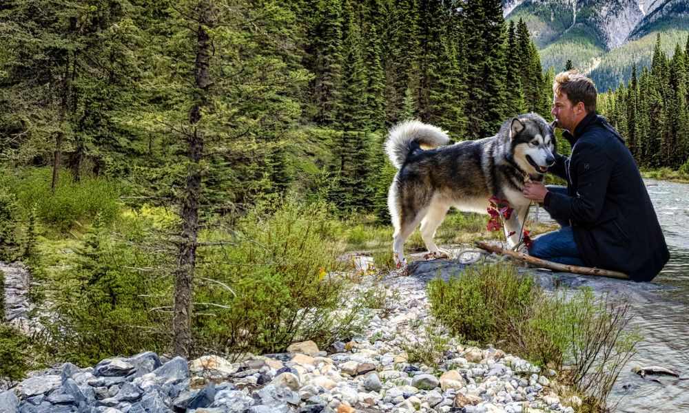 La película familiar que conquistó Netflix