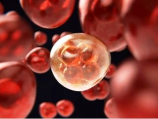 Crean el primer test de sangre capaz de detectar el cncer y su propagacin