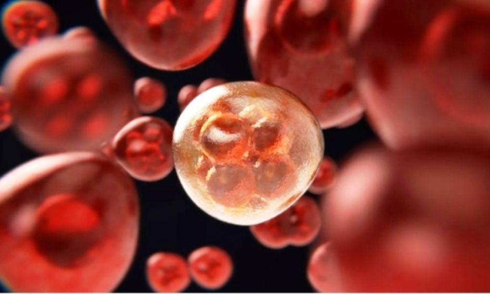 Primer test de sangre capaz de detectar el cáncer