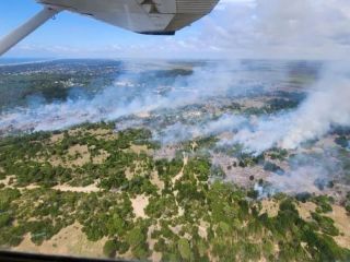 Un incendio forestal en Villa Gesell y Cariló fue controlado, habría sido intencional