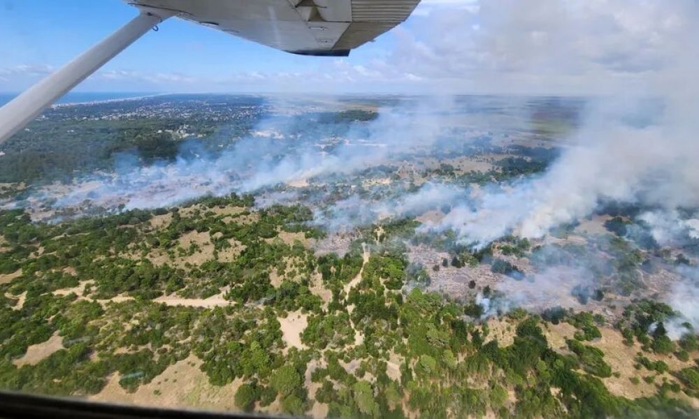 Incendio forestal en Villa Gesell y Cariló