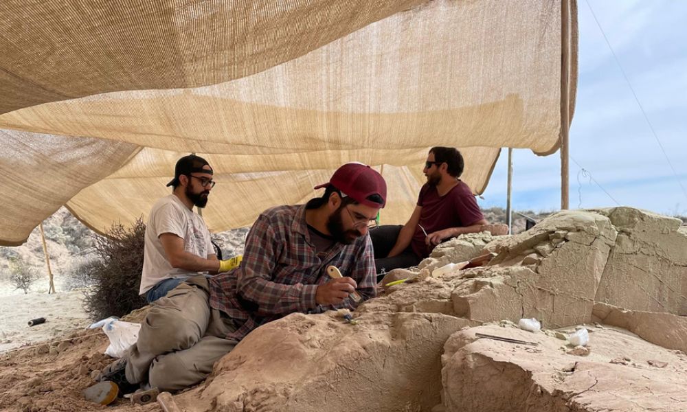 Comenzó el streaming paleontológico