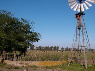 Tragedia laboral en Mar del Plata: La cada fatal que revela los riesgos del trabajo rural