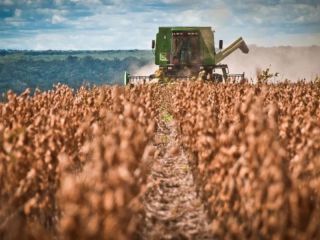 Resiliencia del agro: Ms de US$ 30.000 millones pese a la menor produccin