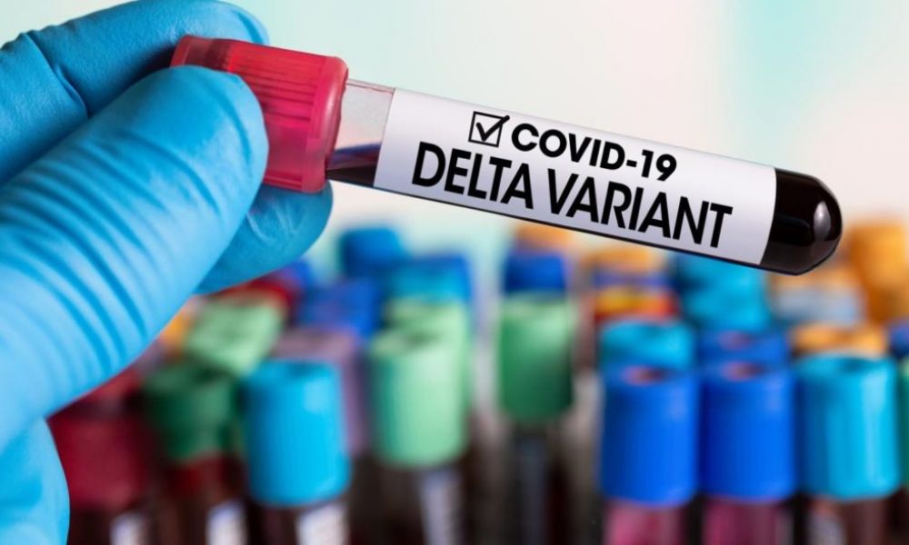 Variante Delta