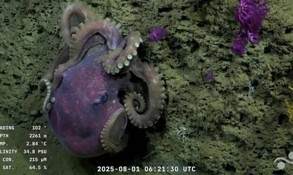Culmina la histórica expedición científica del CONICET