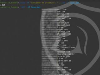 San Pedro: hackers roban datos confidenciales del municipio