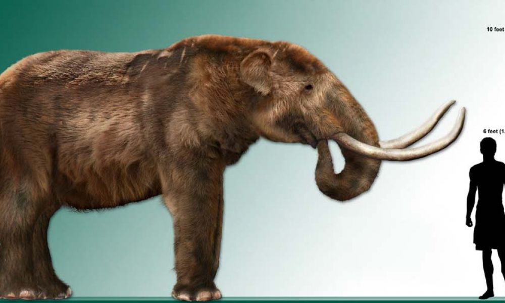 Mastodonte