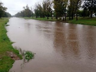 Mejora el clima en Pergamino: Tras lluvias intensas, se espera un domingo soleado