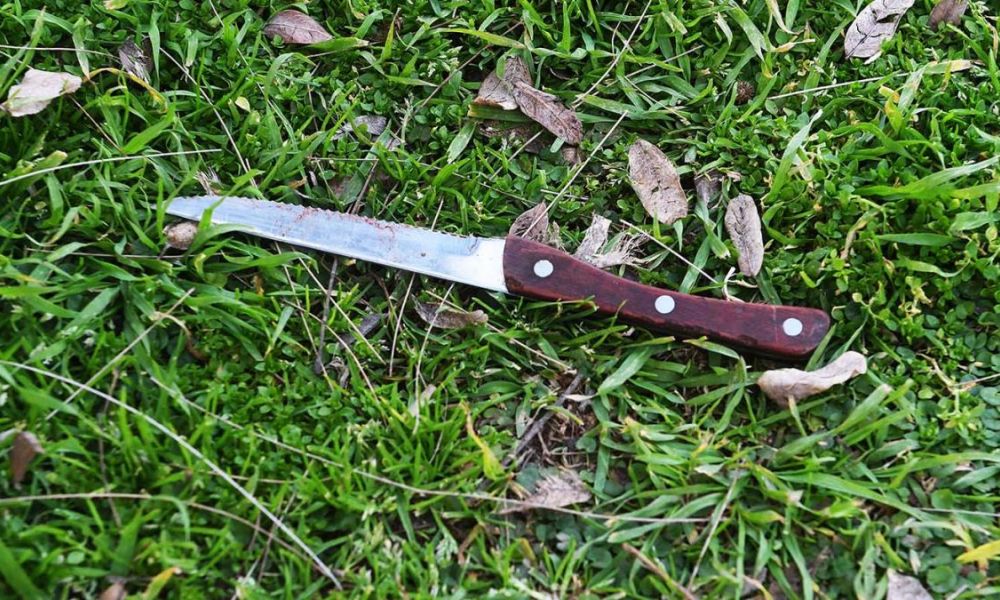 El cuchillo encontrado en el lugar