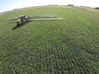 Agroqumicos: El campo cuestiona a la Justicia de San Nicols