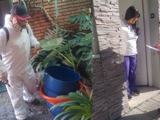 Nuevo caso de Dengue en Pergamino: Refuerzan la vigilancia epidemiológica en el barrio Acevedo