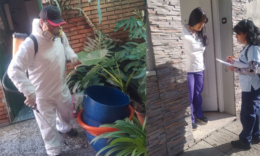 Nuevo caso de Dengue en Pergamino