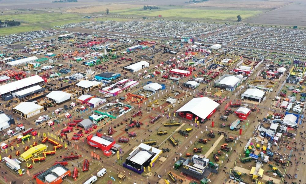 Santa Fe pone $116.000 millones en juego en AgroActiva