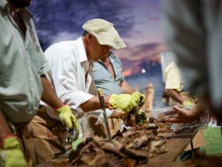 Acevedo se prepara para la Fiesta Provincial de la Estaca: Música, tradición y asado criollo