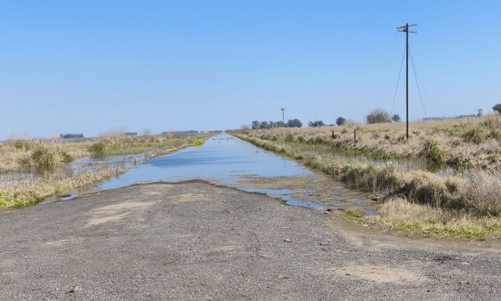 Prorrogan la emergencia agropecuaria hasta febrero
