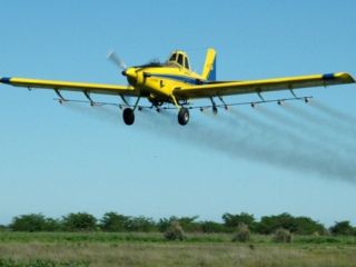 Pergamino: Un operario internado y ocho con principios de intoxicacin al ser alcanzados por agroqumicos
