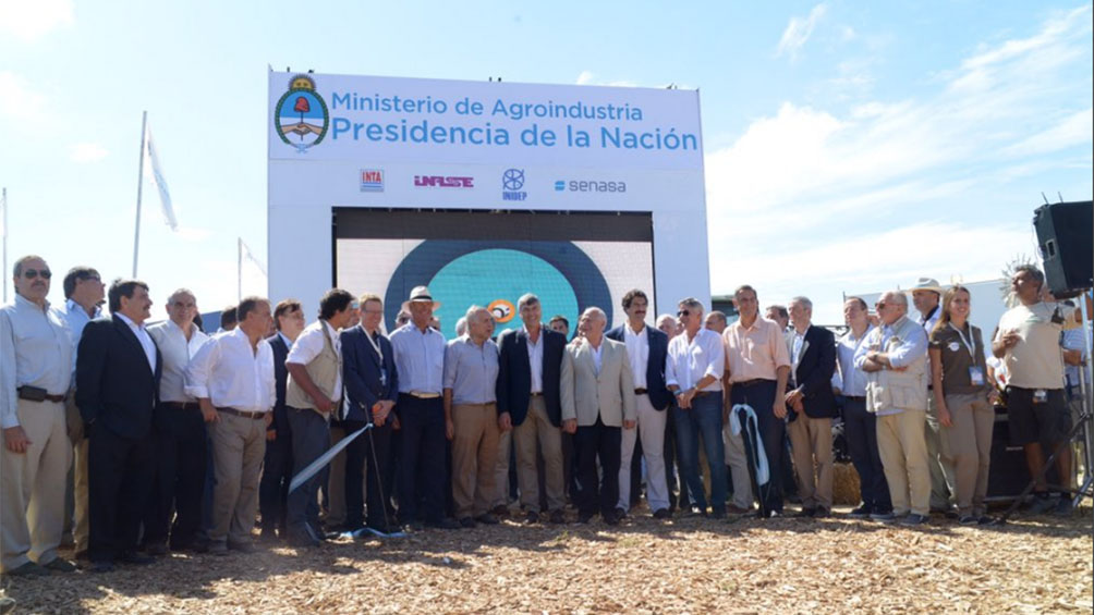 El agro es el líder de la recuperación económica El agro es el líder de la recuperación económica